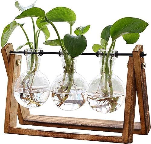 Listado de Adornos para comprar online. 47 Sepper Estación de propagación de Plantas, Terrario con Soporte Madera Jarrón Hidropónica Florero Cristal, Jarrones Vidrio Macetas con 3 Bombillas para Interior Decoración...
