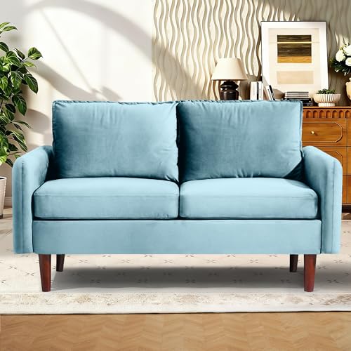 Bilhilury 56" Velvet Small Sofa, Loveseat Couch for Living Room, Small Spaces Love Seat Couches, Mid Century Modern Sofa for Bedroom Apartment Office, Light Grayish Cyan