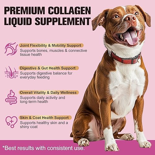 Collagène Liquide Premium pour Chiens et Chats - Hydrolysé d'Élevage au Pâturage - Support Nutritionnel Naturel pour Articulations, Hanches, Peau et Poils