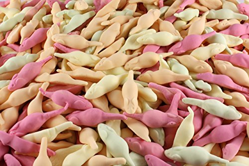 1.200g Aseli Fruchties | 5 natürliche Fruchtaromen | Minimäuse aus Schaumzucker | fruchtige Speckmäuse | wiederverschließbarer 1.2 kg Eimer | glutenfrei | laktosefrei (1200 GR)