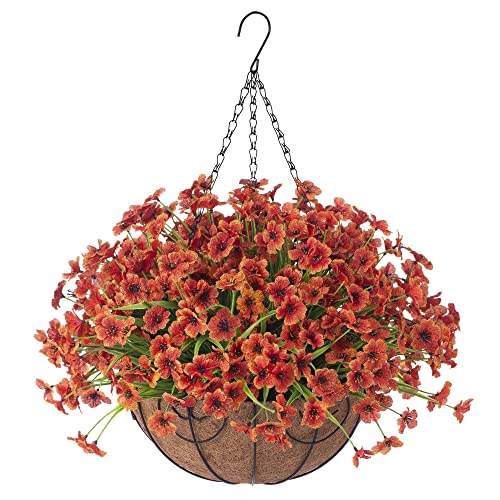 Outdoor Greenery Choosing the Best Hanging Plants