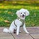 HEELE Geschirr Hund Klein Weich Hunde Geschirr Air Mesh Verstellbar Sicher Kontrolle Welpengeschirr Weste Hunde Brustgeschirr für Gehen, Laufen, Training, Reflektierend, Armee Grün, XS