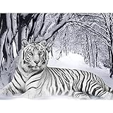 Diamond painting SAHONG