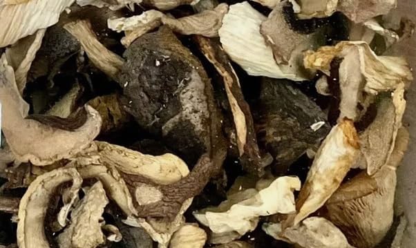 (Pack of 2) The Wild Mushroom Co. Dried Gourmet Mix Mushrooms, Premium, Quality, Packed in France, Net Weight 12 oz (340g)