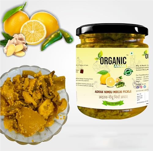 Image of Organic Anand Homemade Ginger Lemon Green Chilli Mix Pickles 500gram Khatta Mix Ghar ka Achaar, Flavourful, Delicious, Traditional Taste