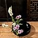 Inzopo Round Container Flower Bonsai Pot Vase Suiban Ikebana Plastic - Black 28cm, as described