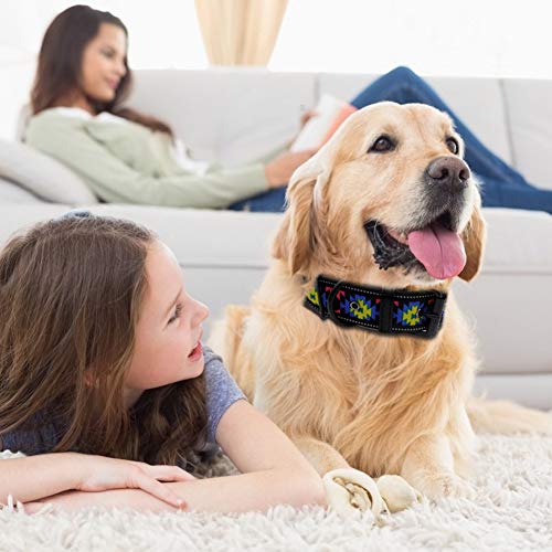 https://m.media-amazon.com/images/I/51eBef9BUVL._SL500_.jpg