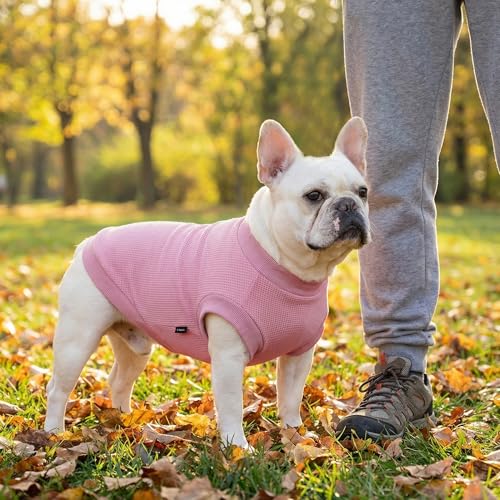 Image of 3 Pack Dog Shirt for Small Supplies Functional Waffle Dog Clothes Warm Soft Sweatshirt Outfit for Dogs Cats Pet Apparel
