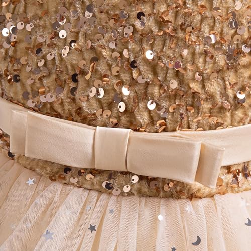 Nileafes Flower Girl Princess Dresses Birthday Party Ball Gown4