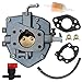 XingLi 809008 carburetor fit for Briggs & Stratton 808249 807936 807832 Fits for 294442 294446 294447 295342 295442 295347 295446 Model 294442-0102-01 294442-1124-A1 294447-1054-A1 Engine