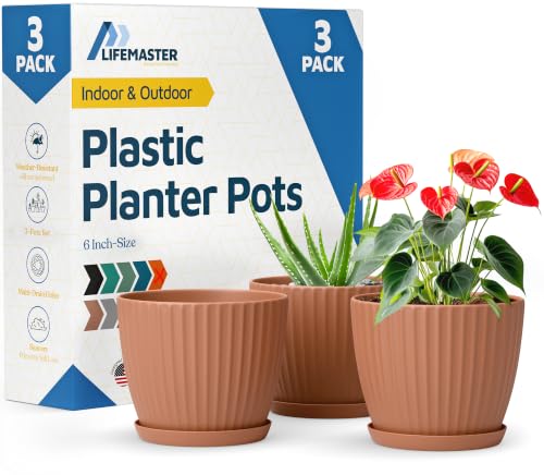 Lifemaster 6-Inch