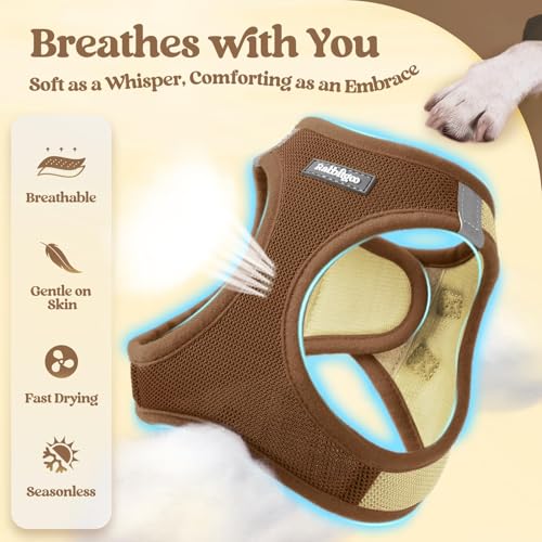 Image of rabbitgoo Dog Harness Small Sized and Leash Set, Step-in Puppy Pet Vest