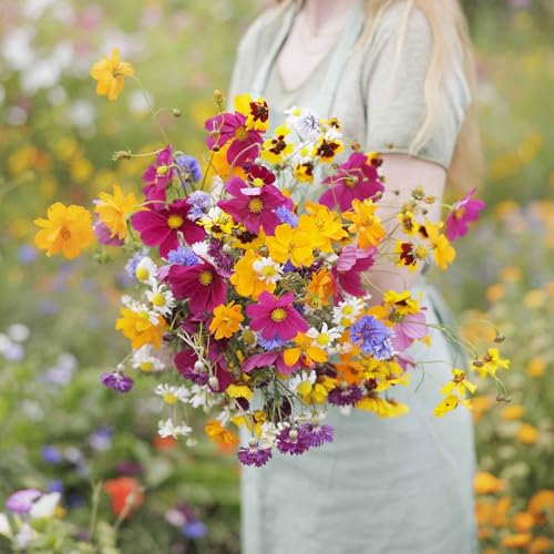 Eden Brothers Midwest Wildflower Mixed Seeds for Planting 1/4 lb 120 000+ Seeds with Cornflower Candytuft Mexican Hat | Attracts Pollinators Plant in Spring or Fall Zones 3 4 5 6 7 8 9 10