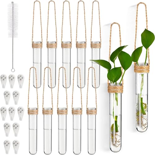 12-Pack Glass Hanging Vases,Flower Decor,Wall Planters for Plant Propagation Station,Wall Mounted Vase Cultivation,Ideal for Hydroponics in Home,Office,or Garden,Great Gift