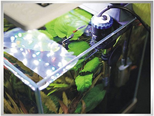 SunSun Aquarium Heater installed vertically in an aquarium, fully submerged and attached to the glass wall.