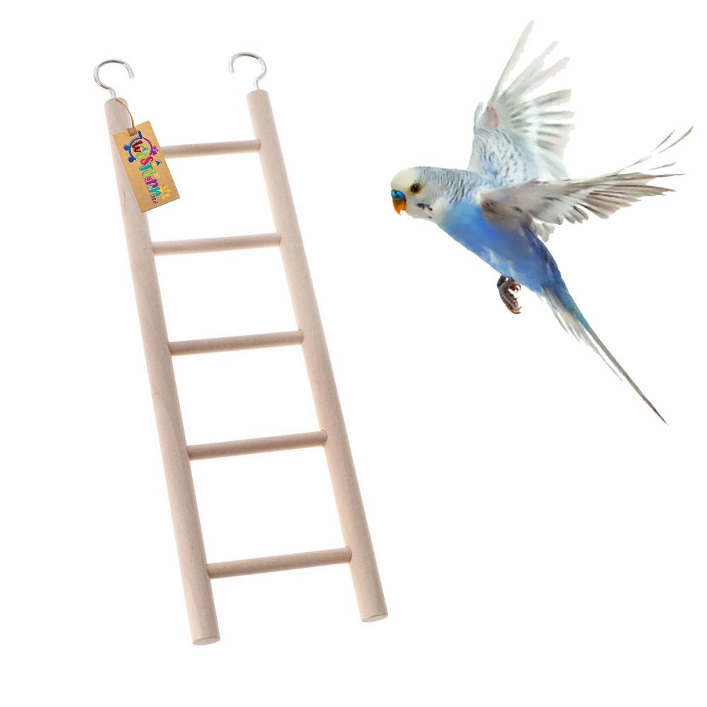 Western Era 5 Stairs Fun Natural Wooden Ladder Toy for Training, with Hooks, Designed for Birds, Parrot, Budgies and Other Small, Medium Large Bird (26cm) (B08KZTH1MQ) Amazon Price History, Amazon Price Tracker