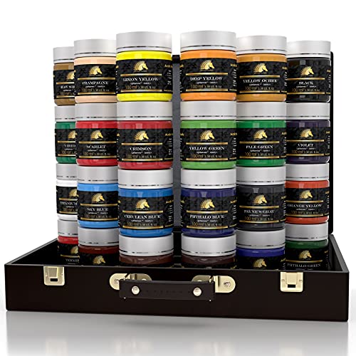 MyArtscape Acrylfarben-Set - 24 x 100 ml Flaschen mit Aufbewahrungsbox - lichtecht - schwerer Körper - Malset in Künstlerqualität - Geschenkset für Künstler, Hobbymaler - professionelles Kunstbedarf Cover