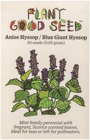 Anise Hyssop (Agastache foeniculum) Seeds - Pack of 50, Non-GMO, Open Pollinated, Untreated Flower Seeds for Planting – from USA