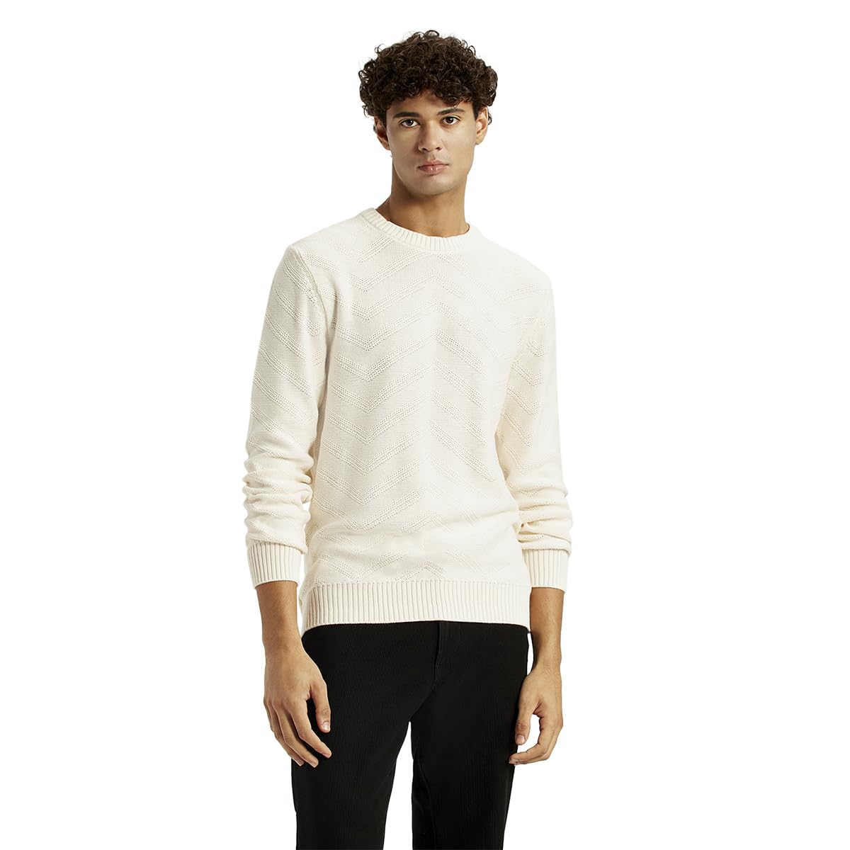levi's Men's Self Design Off-White Crew Neck Sweater-picture-53