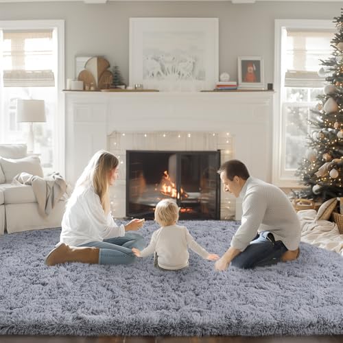 8x10 Area Rugs for Living Room, Large Fluffy Rugs for Bedroom, Soft Carpet Shag Kids Room Rug, Non-Slip Fuzzy Rugs Indoor (Light Grey, 8ft x 10ft)