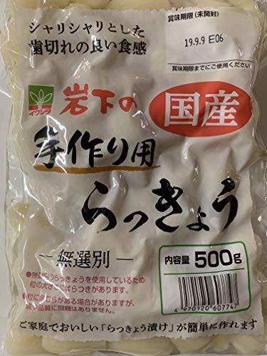 岩下　国内原料　手作り用塩らっきょう500ｇ