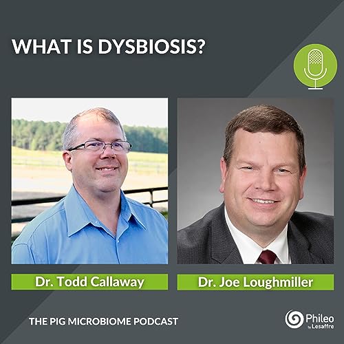 #SHORTS: What is dysbiosis? Titelbild