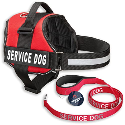 Top 10 Best Service Dog Vest Petco Reviews & Buying Guide Katynel