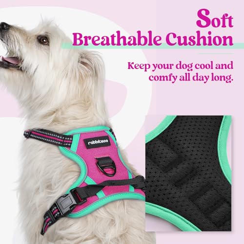 Image of rabbitgoo Dog Harness No Pull with 2 Leash Clips, Adjustable Soft Padded, Reflective Oxford No Choke Pet Vest with Easy Control Handle for Large Dogs, Hot Pink & Turquoise, XS
