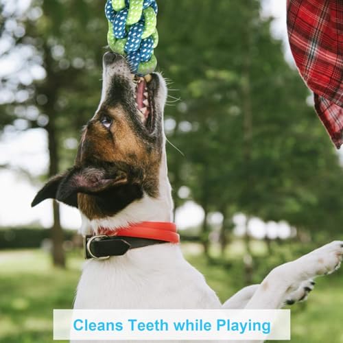 Image of Dog Rope Toys for Large & Medium Aggressive Chewers | Heavy-Duty Indestructible Natural Cotton Tug & Chew Rope Toys with Easy-Hold Handle | Durable Dog Chew Toys | Set of 4