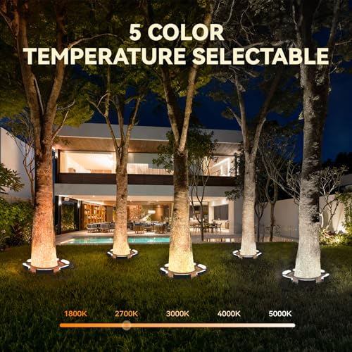 Image of LEONLITE 6-Pack Update 5CCT Low Voltage Landscape Tree Ring Lights, IP65