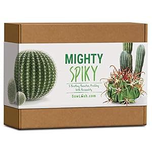 Mighty Spiky Cactus Gift Seed Kit. Easy to Grow 5 Bristling Beauties Packed with Personality