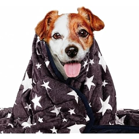 LaSyL Blanket for Pets | Thunder Blanket for Dogs Anxiety | Premium Soft Minky | Relaxation & Calming & Anti Anxiety | Blue Grey Star, Washable Medium 32" L x 40" W Cover