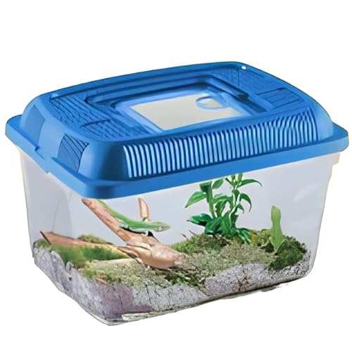 FORNOR 24197 Aquarium/Terrarium 30 x 20 x 20 x 20 cm TÜRKIS