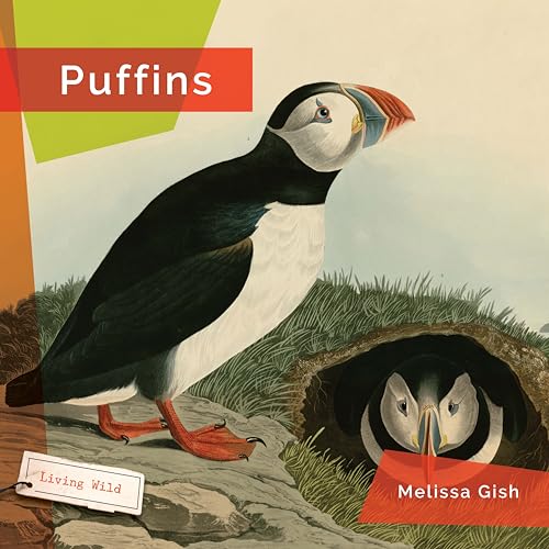 Puffins (Living Wild)
