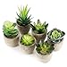 GoMaihe 6 Pezzi di Piante Artificiali Succulente in Vaso, 6 x 8cm Finte Piante Fiori Finti Artificiali con Vasi Grigi, Piante Artificiali da Interno e Esterno, Piante Grasse per Casa Decorazioni