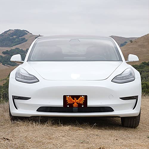 Lefolen Fire Bird Car Front License Plate Fantasy Animal Burning Fire Phoenix Rebirth Shining Flame Decorate License Plates Cover 6" X 12" Tag Novelty Vanity Metal Plate Covers Aluminum #TOP4