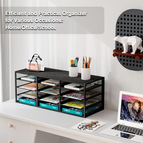 PAG Desktop Mail Sorter, Industrial Countertop Heavy Duty Literature Organizer, Student Mailbox for Classroom, Bill Paper Holder Rack for Office Home School, 12 Compartments, Black - Thumbnail 6