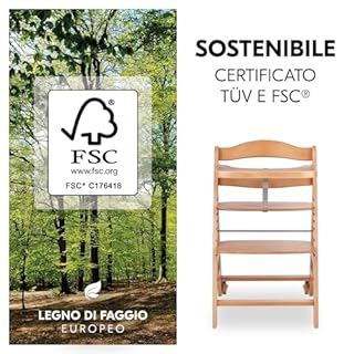 hauck Beta+, Naturale - Kit Seggiolone Pappa con Ruote, Vassoio, Barra Protettiva, Cuscino di Seduta, Cintura a 5 Punti e Cinturina Inguinale - per Bambini 6 Mesi fino a 90 kg - Legno di Faggio
