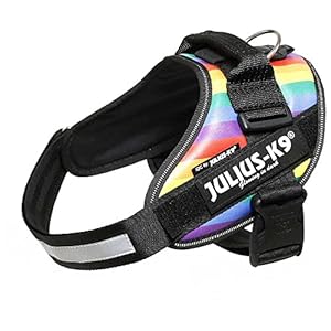 JULIUS-K9 IDC Powergeschirr Regenbogen Hundegeschirr