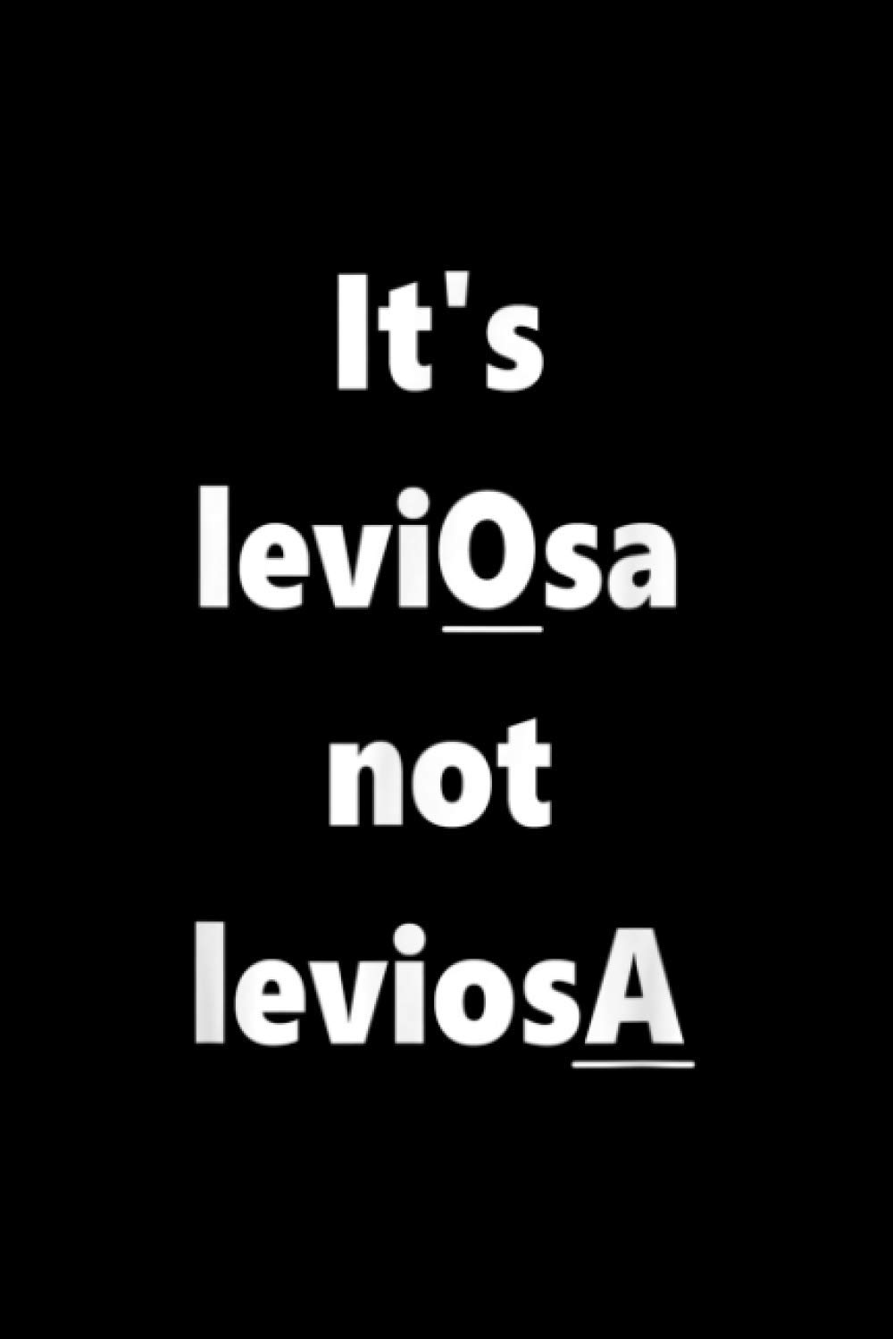 Notebook Planner It S Leviosa Not Leviosa Leviosa: Meeting- Over 100 Pages, Tax, Personal Budget, 6x9 inch Notebook Planner, Goal, Planner