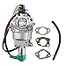 Yomoly Carburetor Compatible with Champion CPE 41115 5000 6000 Watt 11HP Generator Replacement Carb