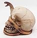 Skeleton Cobra Snake Habitat Skull Figurine Statue Sculpture Halloween