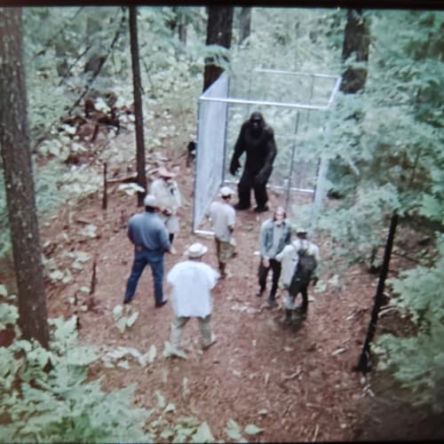 THESE CREATURES ALL OVER THE UNITED STATES Podcast Por  arte de portada