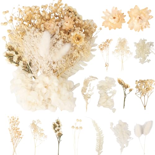 LAUMOE Getrocknete Blumen, Trockenblumen Zum Basteln Mini Trockenblumen Set für DIY Epoxidharz Scrapbook Zubehör Handgemachte Heimdekoration Hochzeit (Weiß1)