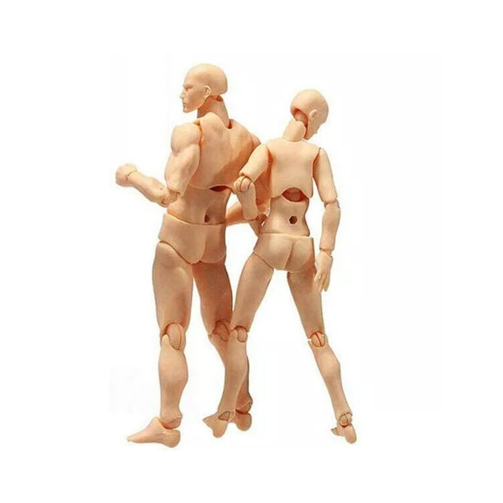 Esenlong Artikulierte Schaufensterpuppe Gliederpuppe Männlich Weiblich Menschlicher Körper - Modell mit Ständer Flexible Manikin Puppe Klein mit Gelenken - Kunstfigur zum Malen und Zeichnen