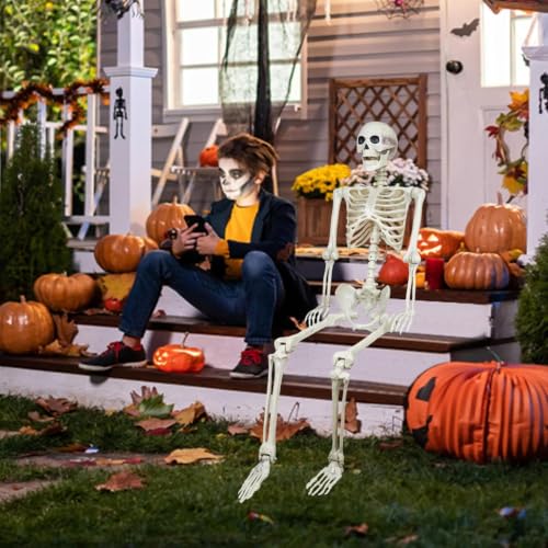 Image of breesky Skeleton for Halloween Life Size: 5.4ft Realistic Human Skeleton
