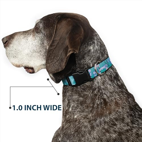 Collar para perro azul de la Sirenita para paseos playeros y parques con hebilla Buckle-Down 7