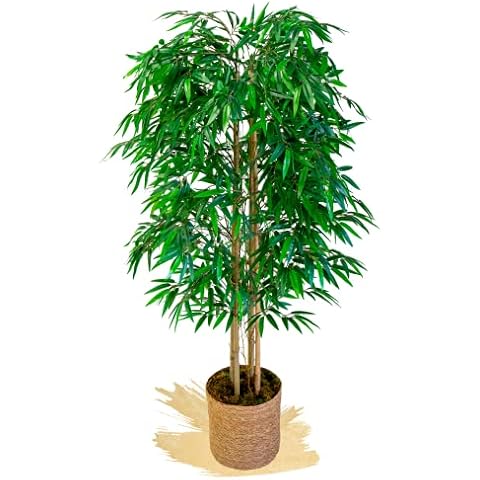 Maia Shop Bambú Cañas Naturales Planta Artificial 150cm Cover