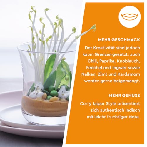 WIBERG Curry Jaipur Style – Kräftig rote indische Gewürzzubereitung mit Koriander, Kreuzkümmel und Kardamom, ideal für Eintöpfe und Suppen, 250 g