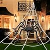 Black Spider